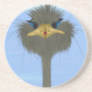 Recherche de autruche dessous de verres Faune