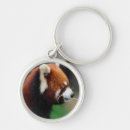 Zoek naar rode panda sleutelhangers Beer