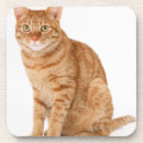 Recherche de chat japonais dessous de verres Animal