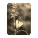 Recherche de sepia magnets Pour elle
