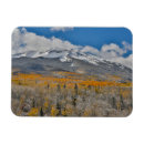 Recherche de tremble magnets Automne