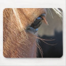 Zoek naar extreme muismatten Fotografie