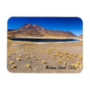 Recherche de piments magnets Nature