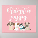Recherche de adoptez Chiot