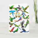 Recherche de conures vœux cartes Perroquets