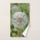 Recherche de herbe verte Nature