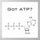 Recherche de biologie drôle posters Chimie