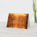 Zoek naar joann kaarten Cypress