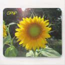 Recherche de tournesols électronique Mother