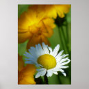 Zoek naar liefje posters Groen