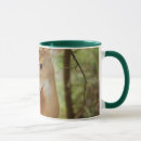 Recherche de whitetail tasses Faon