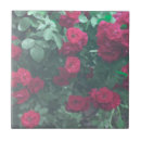 Recherche de dessin roses carreaux Floral