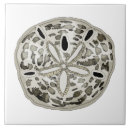 Recherche de dollar de sable carreaux Tropical