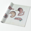 Recherche de anatomie vintage papier cadeau Humain