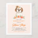 Recherche de shih Anniversaire