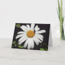 Recherche de bee vœux cartes Fleurs