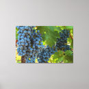 Recherche de cave impressions sur toile Vignoble