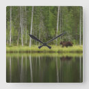 Recherche de taiga posters Finland