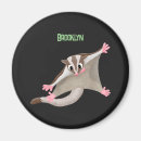 Recherche de marsupiaux magnets Planeur à sucre