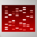 Recherche de code génétique posters Adn