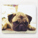 Recherche de fixation tapis souris Carlin