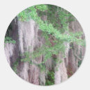 Recherche de moss autocollants Nature