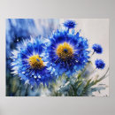 Zoek naar korenbloemen posters Wilde bloemen