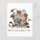 Recherche de bretonne cartes postales Brittany