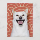 Zoek naar emotie briefkaarten Humor