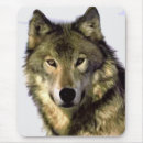 Recherche de loup sauvage tapis souris Animaux