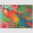 Recherche de le macao Perroquet