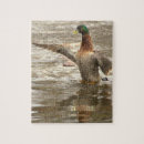 Recherche de canard puzzles Animaux