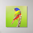 Zoek naar vogel kunst Kleur