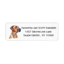 Recherche de ridgeback rhodesian Dog