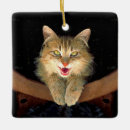Zoek naar gekke ornamenten Kat
