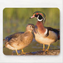 Zoek naar partner muismatten Vogel