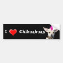 Recherche de chiwawa voiture autocollants Chiot