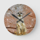 Zoek naar meerkat klokken Afrika
