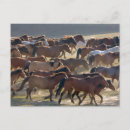 Recherche de avec chevaux cartes postales Troupeau