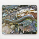 Recherche de timbres tapis souris Nature