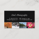 Recherche de saisons photographie Paysage