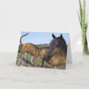 Recherche de chat et cheval vœux cartes Amitié