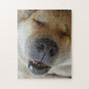 Recherche de chiens de sourire puzzles Toute personne
