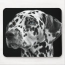 Recherche de taches noires tapis souris Dog