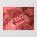 Recherche de bactérien posters Germe