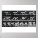 Recherche de 1904 posters De