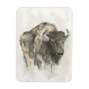 Recherche de américain magnets Bison