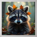 Zoek naar wasberen posters Bosdieren