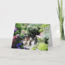 Recherche de sheltie vœux cartes Chiens de berger