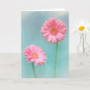 Recherche de gerber rose vœux cartes Gerbera
